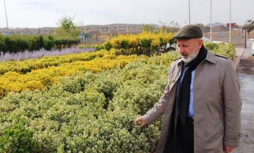 Kocasinan Belediyesi'nden yeşil gelecek için büyük hamle