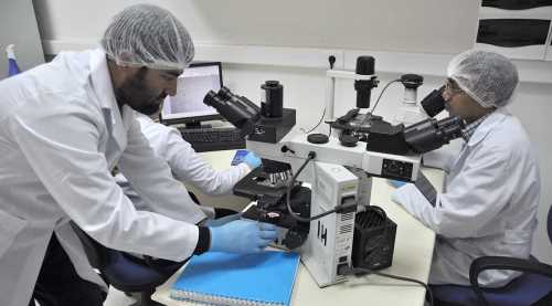 KOKU SİNİR HÜCRELERİNE DÖNÜŞÜYOR