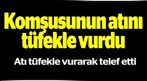 KOMŞUSUNUN ATINI TÜFEKLE VURDU