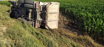 Kontrolden Çıkan Kamyon Mısır Tarlasına Devrildi
