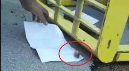 Kopan parmakları yetiştirmek için zamanla yarış