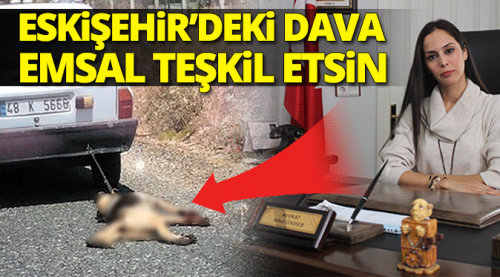 Köpeğe eziyet hakkında flaş suç duyurusu