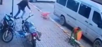 Köpeğe Kötü Muameleye Adli İşlem
