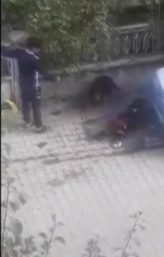 Köpeği Böyle Tekmeledi
