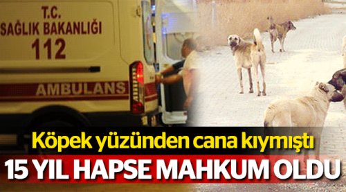 Köpek cinayetine 15 yıl hapis cezası