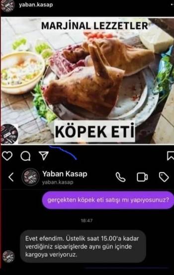 Köpek eti mi satıyorlar? Gerçek ortaya çıktı!