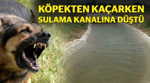 Köpekten kaçarken kanala düştü