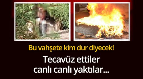 Korkunç olay! Köpeğe sistematik tecavüz ediyormuş!
