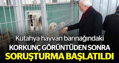 Korkunç olay hakkında soruşturma başlatıldı