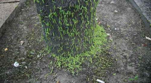 Korkutan görüntü! Yayalar koşarak geçiyor...