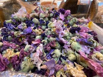 Korona Virüse Karşı Aktarların Yeni Silahı Hatmi Çiçeği Bitkisi
