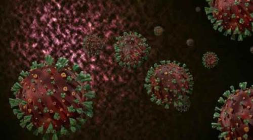 Koronavirüs salgınında bugün...