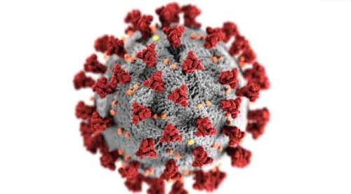 Koronavirüs vaka sayıları 7 bini aştı!