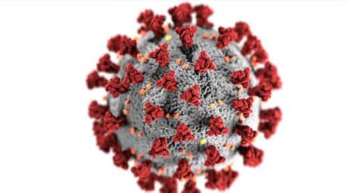 Koronavirüs vaka sayılarında kritik güncelleme! Bundan sonra...