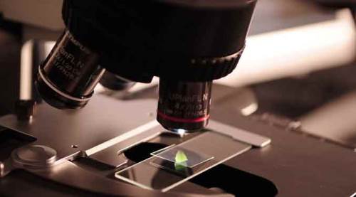 Koronavirüs vaka sayısı 11 binin üzerinde