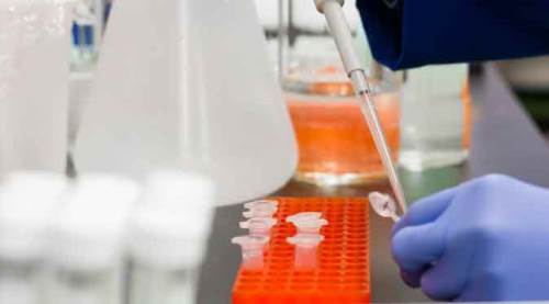 Koronavirüste kritik rakamlar açıklandı...