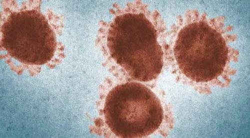 Koronavirüste rakamlar değişmiyor, düşüş durdu