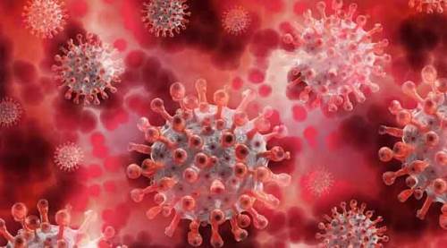 Koronavirüsün son 24 saati...