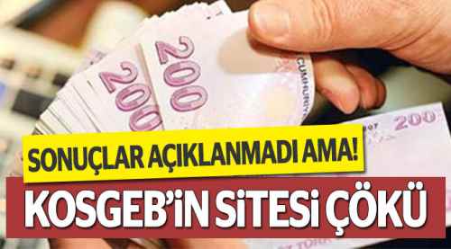 KOSGEB'den 50 bin liralık faizsiz kredi