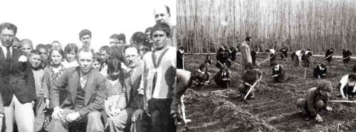 Köy Enstitüleri Üzerine Sorular Yanıtlar (2)