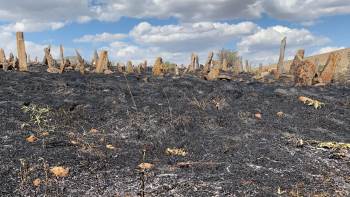Köy Mezarlığı Alev Alev Yandı
