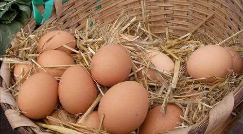 KÖY YUMURTACILARI DERNEĞİ KURULDU