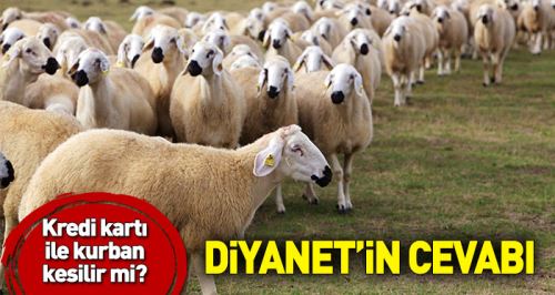 Kredi kartı ile kurban kesilir mi!