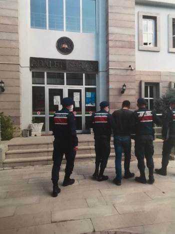 Küçükbaş Hayvanları Çalan Şahısları Jandarma  9 Günlük Takiple Yakaladı
