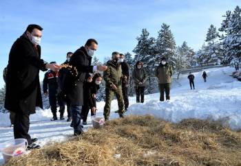 Küçükelmalı Tabiat Parkı’Nda Yaban Hayvanları İçin Yemleme Çalışmaları Yapıldı
