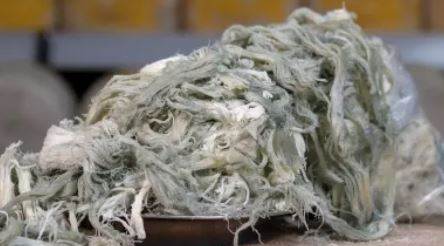 Küflü Çeçil Peyniri Zararlı Mı? Üretimi, Tat Profili ve Rokfor ile Pecorino Affinato Arasındaki Temel Farklar