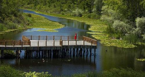 Kültür ve Turizm Bakanlığı, Sakarya’yı festival rotasına ekledi