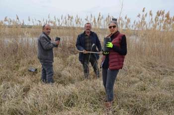 Kuluçkaya Yatan Kuşlar İçin Çalışma Yaptılar
