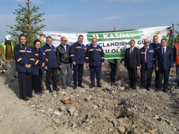 Kümaş Çalışanlarından 5 Bin Fidan
