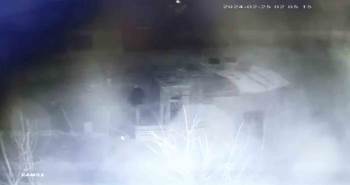 Kümeste bu rahatlık pes dedirtti: Tavukları tek tek...