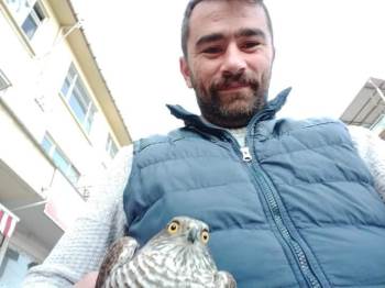 Kumruyu Kovalayan Atmaca Rotasını Şaşırıp Kahvehanenin Camına Çarpıp Yaralandı
