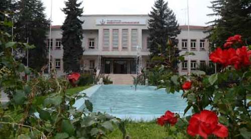 Kuraldır, ağaç kesilirse beton dikilir!