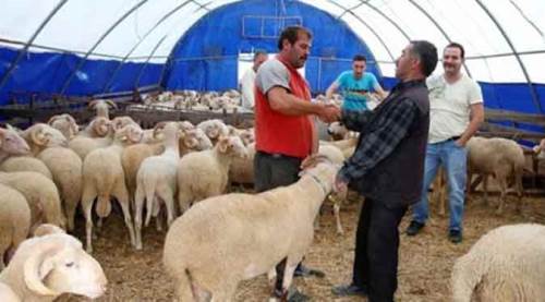 Kurban bağışları belediyeye gitsin bombaya değil