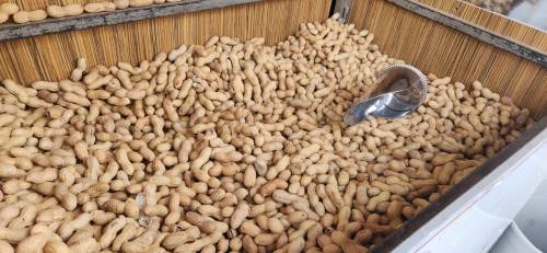 Kurban Bayramı'nın vazgeçilmez çerezi 150 TL!