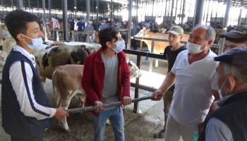 Kurban Pazarlıkları Artık Sopayla Yapılıyor
