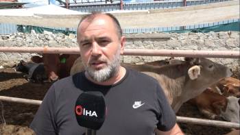 Kurbanlık Alacaklara Uyarı
