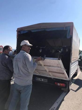 Kurbanlık Sevkiyatına Sıkı Denetim
