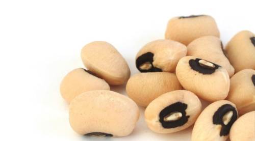 Kuru Börülceyi Fitik Asitten Arındırmak İçin Ne Kadar Islatmak Gerekir?