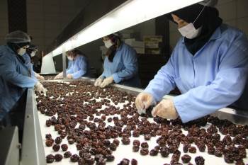 Kuru Meyve Üreterek Pandemi Döneminde Daha Da Büyüdüler
