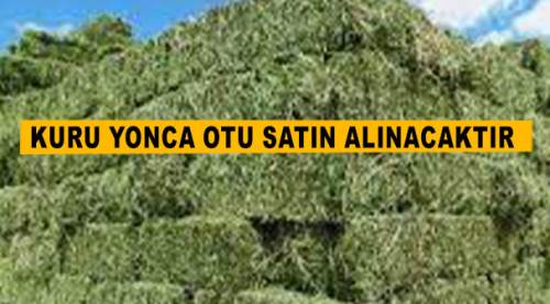 Kuru yonca otu satın alınacaktır