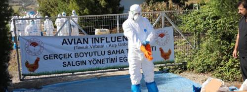 Kuş gribine karşı sahaya indiler: Gerçek boyutlu tatbikat
