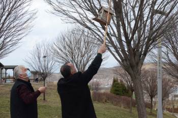 Kuş Yuvaları Ağaçlardaki Yerini Aldı
