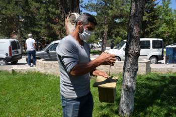 Kuş Yuvaları Osmangazi Parkındaki Yerini Aldı
