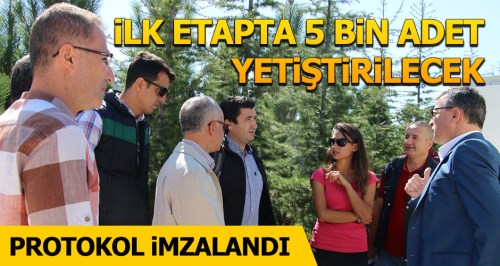Kuşkonmaz üretimi için protokol imzalandı 
