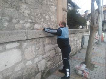 Kuşlar İçin Buğday Dağıtıldı
