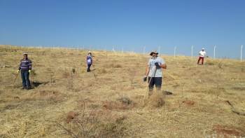 Kütahya Adalet Ormanı’Nda Bakım Çalışması
